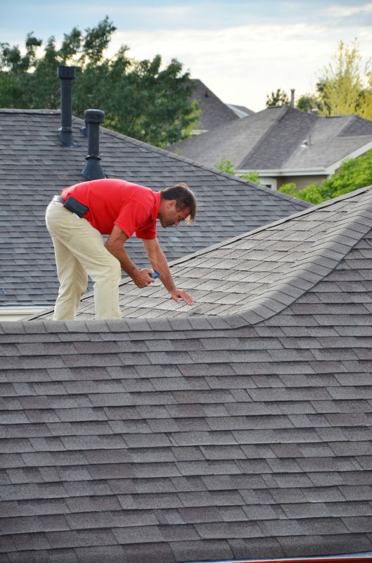 Professional Roofing Assessment